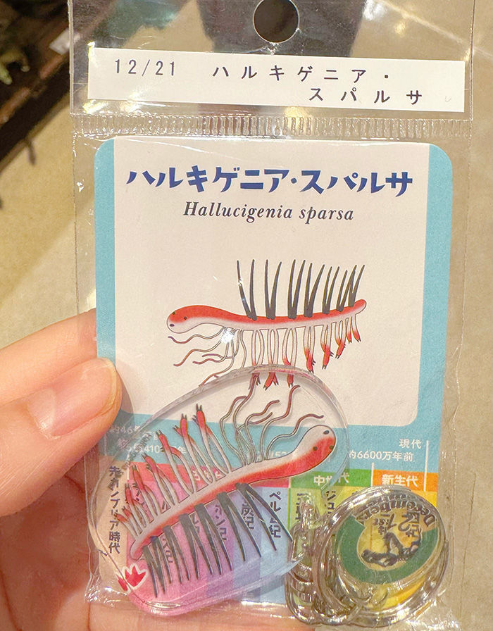 少女と古生物のこと